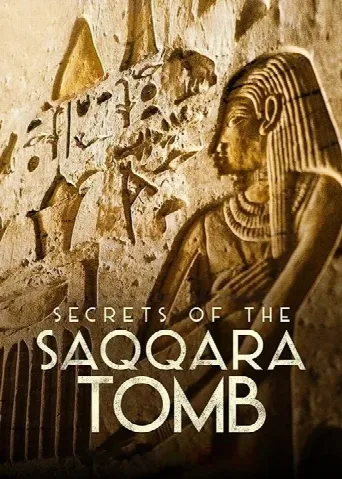 Secrets of the Saqqara Tomb (2020) poster