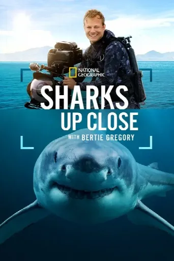 Sharks Up Close with Bertie Gregory (2025) poster