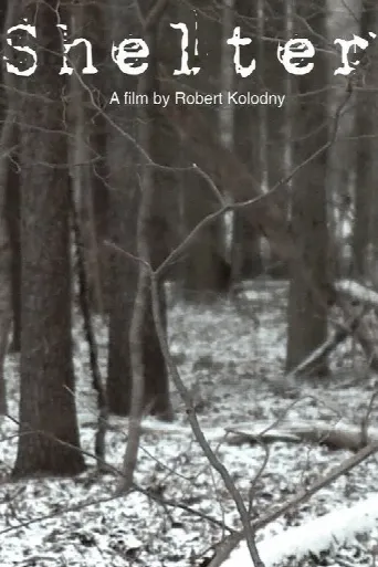 Shelter (2010) poster
