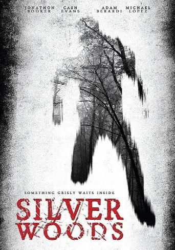 Silver Woods (2017) poster
