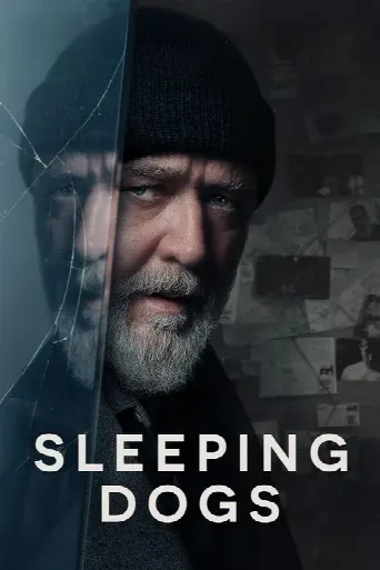 Sleeping Dogs (2024) poster