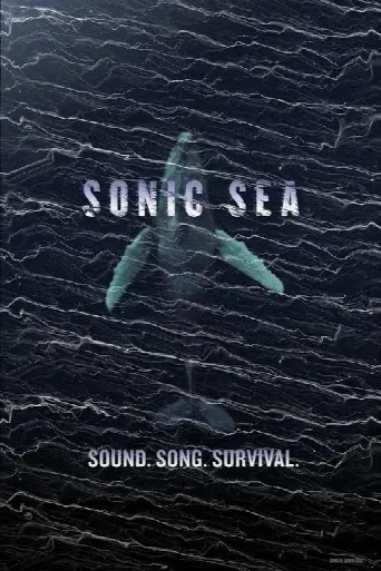 Sonic Sea (2016) poster