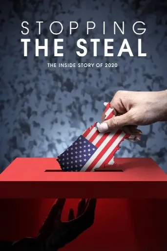 Stopping the Steal (2024) poster