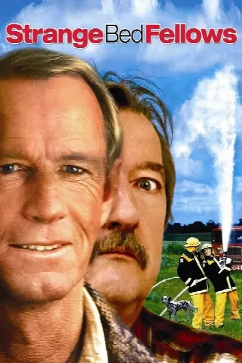 Strange Bedfellows (2004) poster