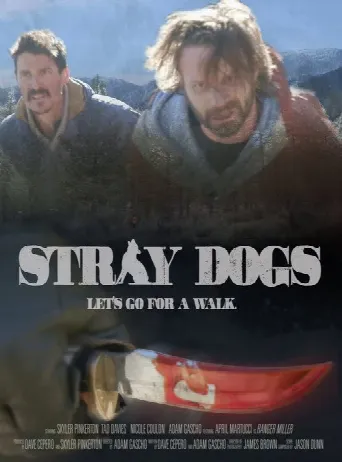 Stray Dogs (2020) poster