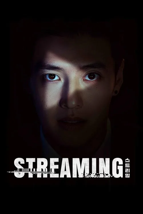 Watch Streaming (2025) online free - poster