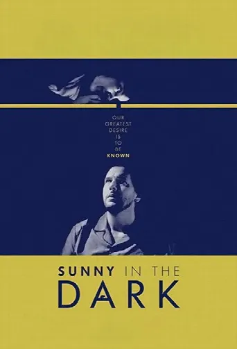 Sunny in the Dark (2015) poster