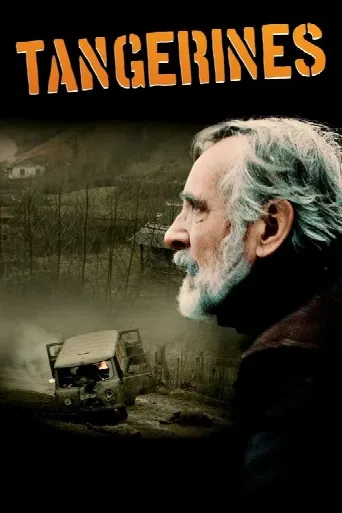 Tangerines (2013) poster