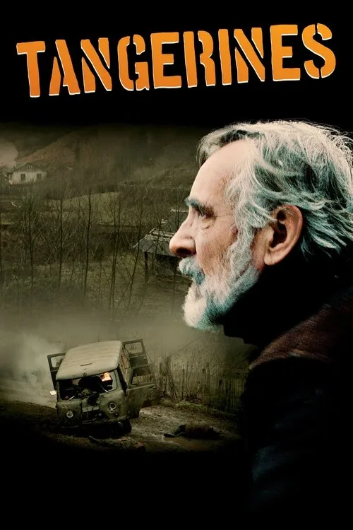 Tangerines (2013) poster