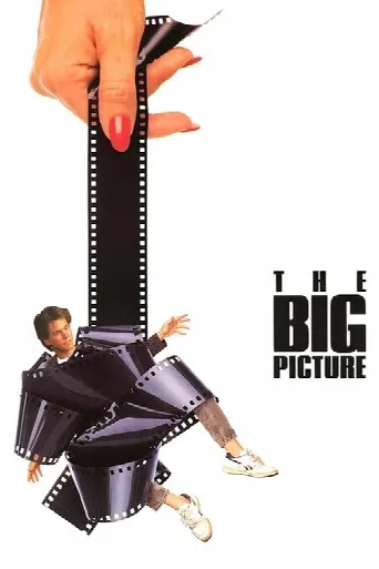The Big Picture (1989) poster