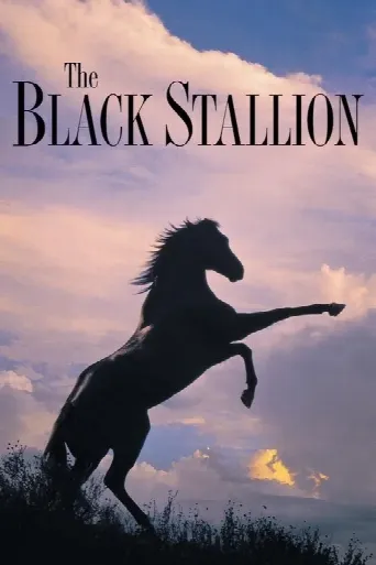 The Black Stallion (1979) poster