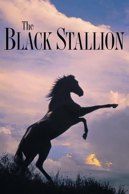 The Black Stallion (1979) poster