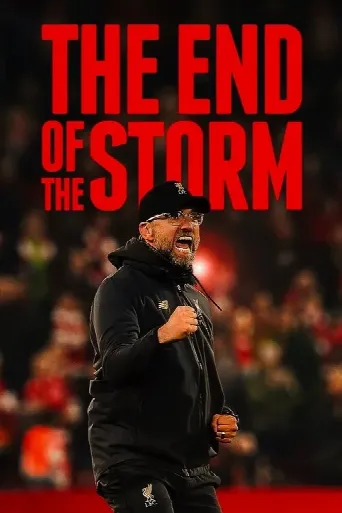 The End of the Storm (2020) poster