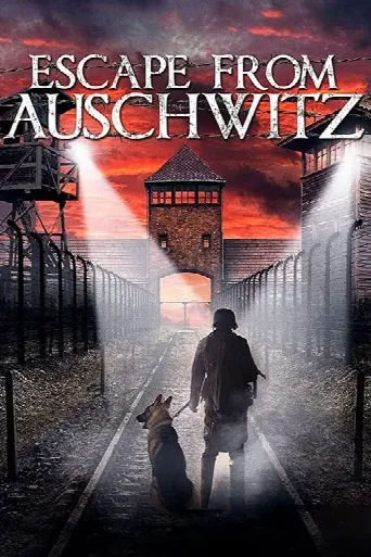 The Escape from Auschwitz (2020) poster