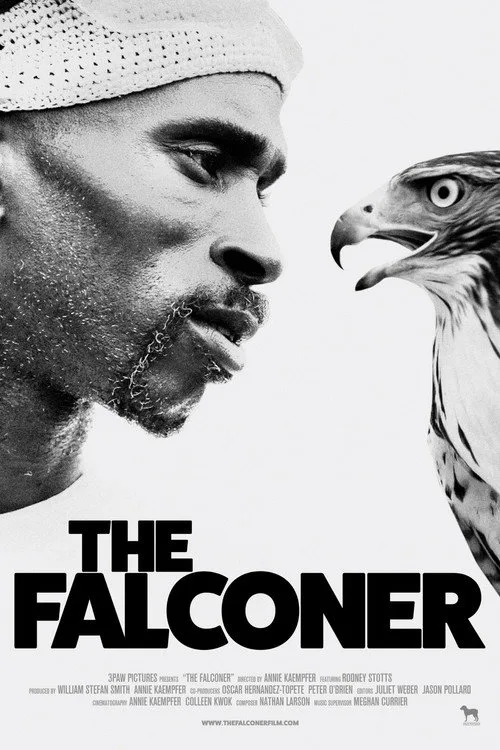 The Falconer (2021) poster