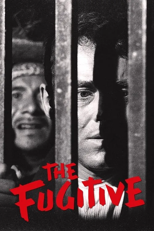 The Fugitive (1947) poster