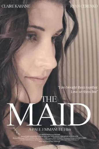 The Maid (2014) poster