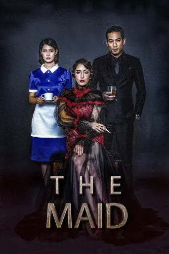 The Maid (2020) poster