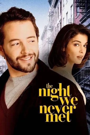 The Night We Never Met (1993) poster