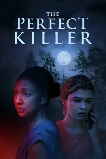 The Perfect Killer (2025) poster