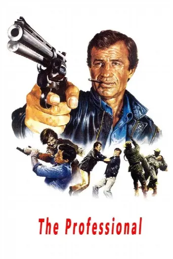 The Professional (1981) poster