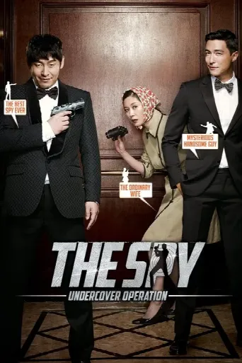 The Spy: Undercover Operation (2013) poster