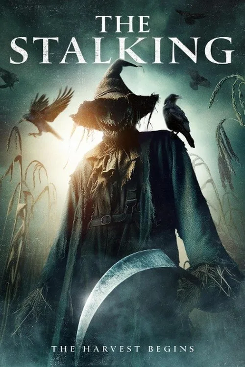The Stalking (2024) poster