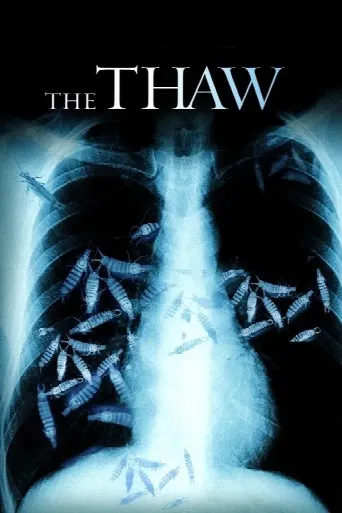 The Thaw (2009) poster
