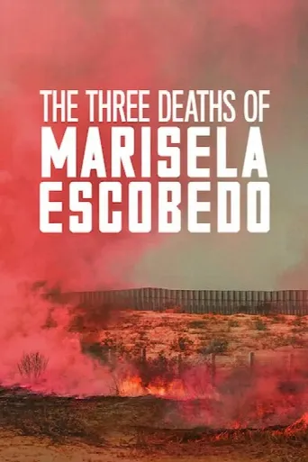 The Three Deaths of Marisela Escobedo (2020) poster