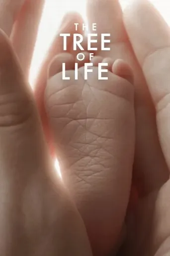 The Tree of Life (2011) poster