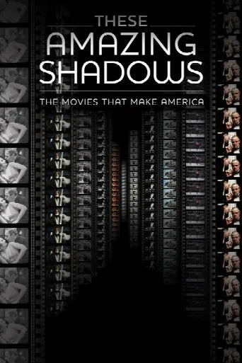 These Amazing Shadows (2011) poster