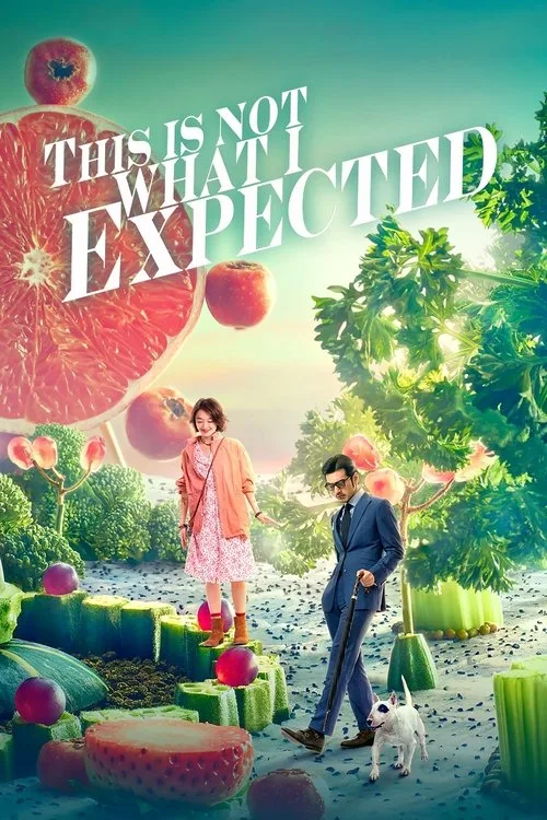 This Is Not What I Expected (2017) poster
