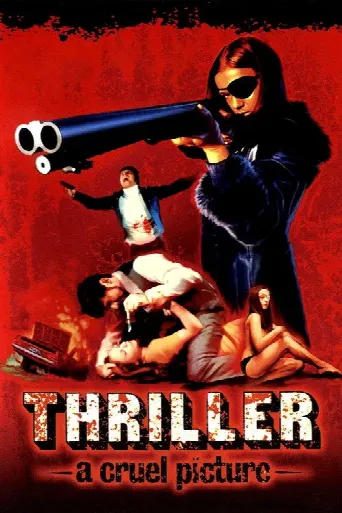 Thriller: A Cruel Picture (1973) poster