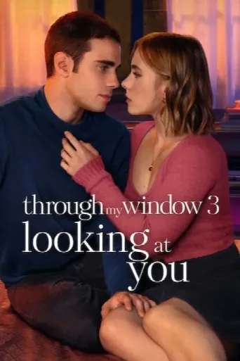 Through My Window 3: Looking at You (2024) poster