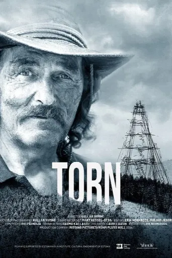 Torn (2025) poster