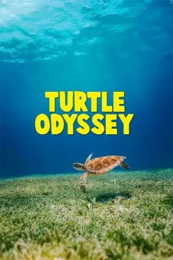 Turtle Odyssey (2018) poster