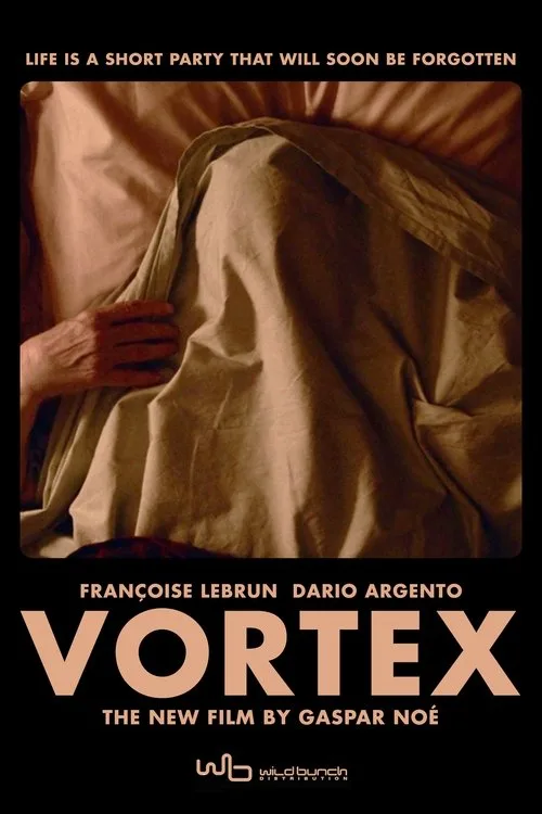 Vortex (2022) poster