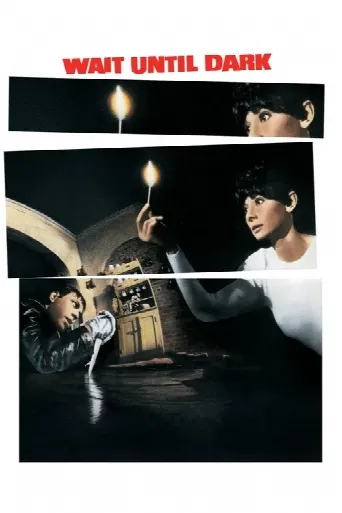Wait Until Dark (1967) poster