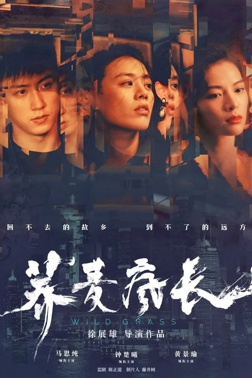 Wild Grass (2020) poster