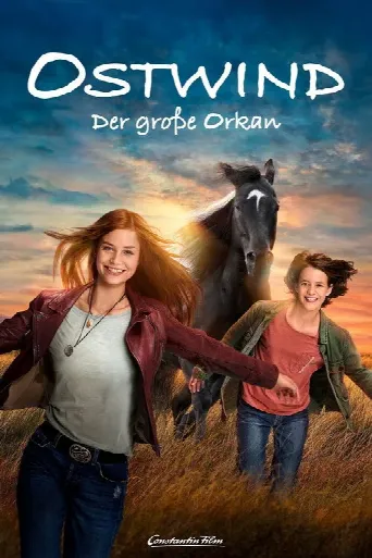 Windstorm: The Great Hurricane (2021) poster