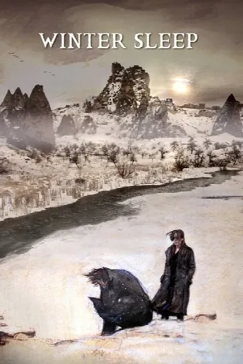 Winter Sleep (2014) poster