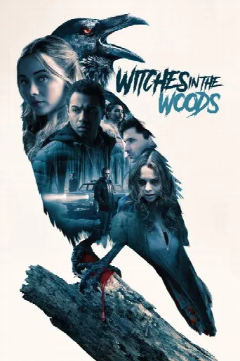 Witches In The Woods (2019) poster