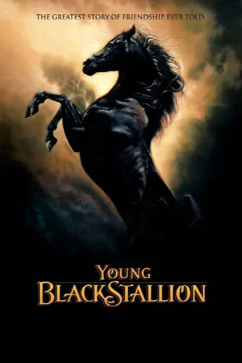 Young Black Stallion (2003) poster