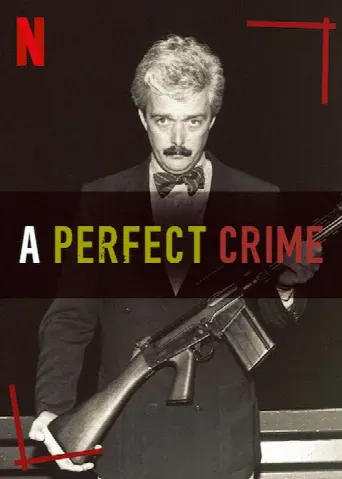 A Perfect Crime (2020) poster