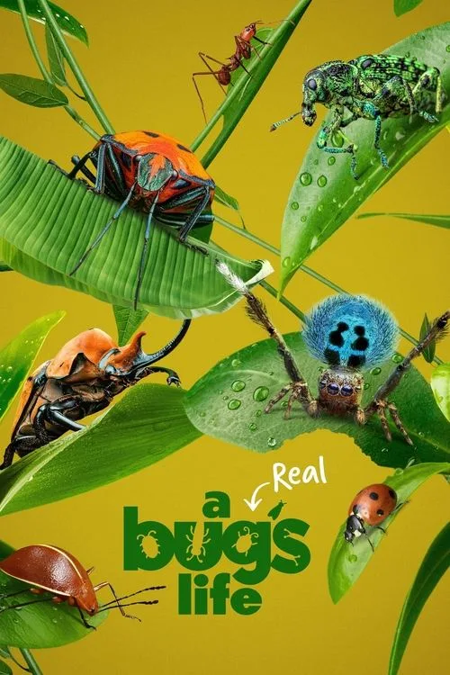 A Real Bug's Life (2024) poster