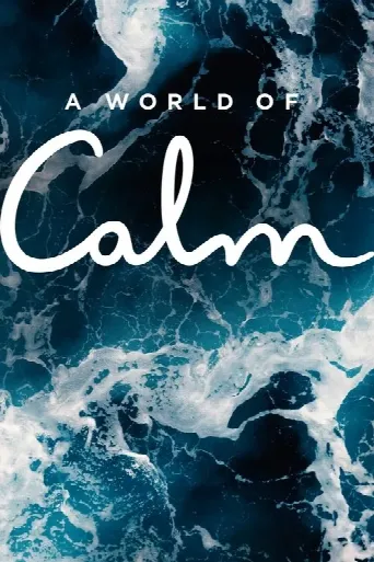 A World of Calm (2020) poster