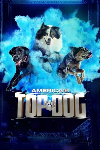 America's Top Dog (2020) poster