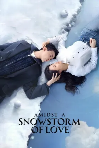 Amidst a Snowstorm of Love (2024) poster