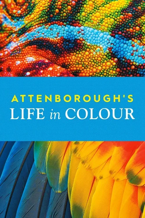 Watch Attenborough's Life in Colour (2021) online free - poster