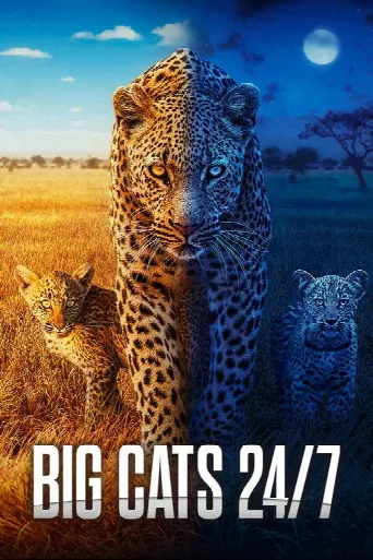 Big Cats 24/7 (2024) poster